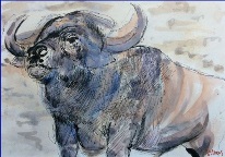 King of the Buffaloes watercolour Sue Dickens